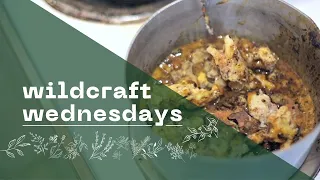 Melting Pine Pitch to Resin | Ten Lairs Deep | Wildcraft Wednesday