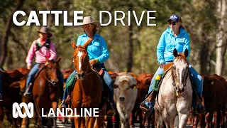 Novice cattle drovers raising money for bush services in Queensland's Burnett region | ABC Australia