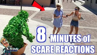 FUNNY 8 MINUTES OF BUSHMAN SCARE REACTIONS!!!