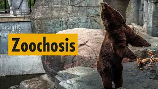 Zoochosis