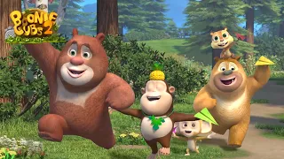 Boonie Cubs | The Giant Pumpkin【NEW EPISODES】| SEASON 2 | EP 39