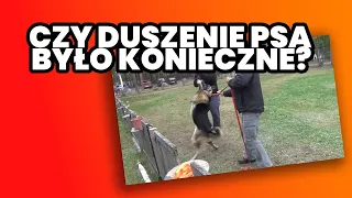 Tak wygląda ignorowanie sygnałów psa - pies atakuje, a trenerzy "bronią się" dusząc go!