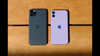 Поменял 11Pro на Pro Max, а потом купил просто iPhone 11. В чем разница?