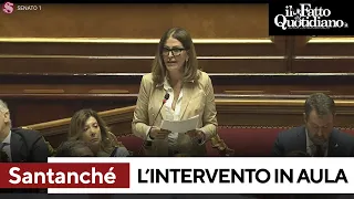 Santanché, l'intervento integrale in Senato: tutte le parole dell'imprenditrice in Aula