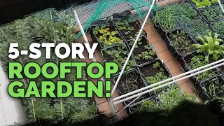 5 Story Rooftop Gardening in Spain (Full Tour)