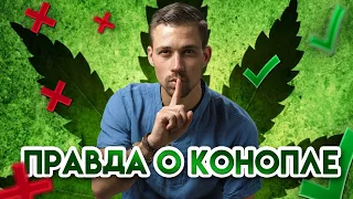 10 ПОЛЕЗНЫХ СВОЙСТВ КОНОПЛИ, О КОТОРЫХ ВЫ НЕ ЗНАЛИ | КАННАБИС, CBD, КБД | БИОХАКИНГ