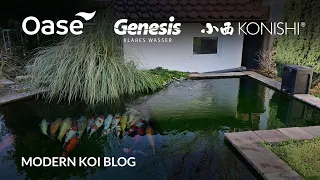 Modern Koi Blog #5864 - Johnnys geiler Teich mit krassem Wasser und superschönen Koi