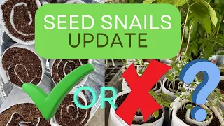 Seed Snail Rolls | Major Win or Epic Fail? #grow #seeds #tips