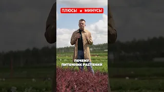 Плюсы и минусы открытия питомника растений