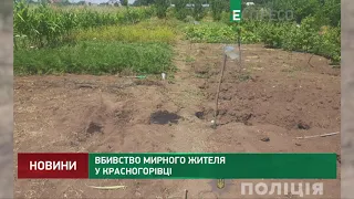 Убийство мирного жителя в Красногоровке