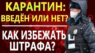 КАК ИЗБЕЖАТЬ ШТРАФА за нарушение карантина? КАК ГОВОРИТЬ С ПОЛИЦИЕЙ - какие объяснения дать полиции?