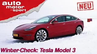 Tesla Model 3 (2019): Winter-Check mit Alexander Bloch - Review/Fahrbericht | auto motor & sport