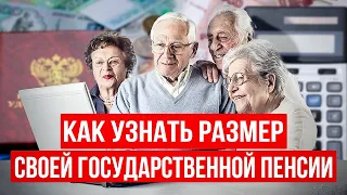 Из чего состоит пенсия? Где получить данные о пенсионных начислениях и как узнать размер пенсии?