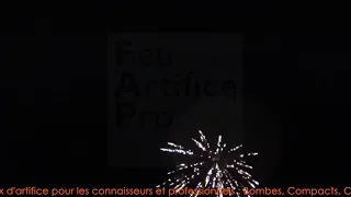 FAP - PAY Gerbes d'étoiles