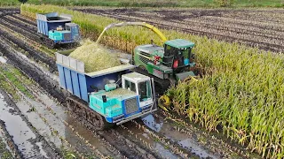 Mais Silage In The Mud | John Deere 7400 on Tracks | Oussoren | 2021