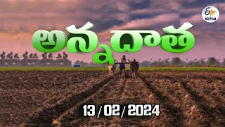 అన్నదాత | 13th February 2024 | Annadata | Full Bulletin | ETV Andhra Pradesh