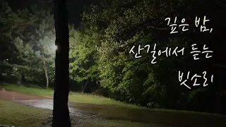 시골 뒷산 도드밟아 오른 외줄기 산길에서 듣는 빗소리 | 숙면 | Sound of rain | ASMR