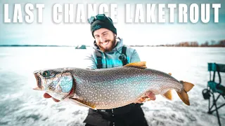 LAST ICE LIVESCOPE LAKE TROUT (CRAZY FOOTAGE)