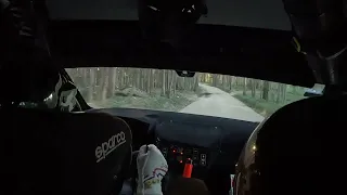 🎥 ON-BOARD PEUGEOT 208 RALLY4 🇵🇹Ernesto Cunha 🇵🇹Rui Raimundo