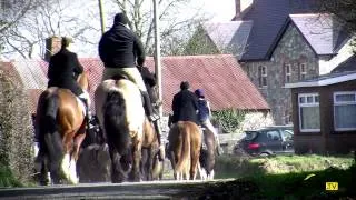 Fox Hunting in Ireland Last Meet of 2013