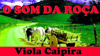 O Som Da Roça - 01 HORA DE MODÃO DE VIOLA -  Viola Caipira/Sertanejo Raiz (Passeio Na Roça)