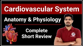 Cardiovascular System Anatomy & Physiology Complete Short Review