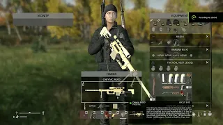 DayZ  - Cheytac M200 Firing