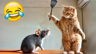 Try Not To Laugh Challenge🤔Funny and Cute CAT Videos Compilation 2024😻🐈Part 3