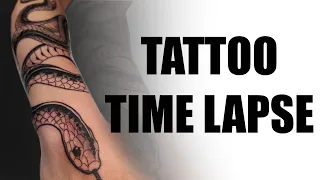 TIME LAPSE TATTOO | Snake Neotraditional Tattoo