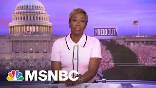 Watch The ReidOut With Joy Reid Highlights: April 13