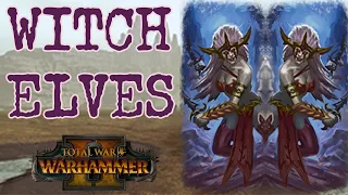 CORE UNIT: Witch Elves - Dark Elves vs Skaven // Total War: Warhammer II Multiplayer Battle