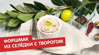 Форшмак из селёдки с творогом | Братья по сахару