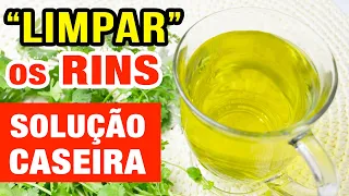 A Melhor SOLUÇÃO CASEIRA para a saúde dos RINS