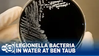 Legionella bacteria found in water at Ben Taub Hospital