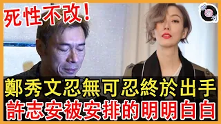 鄭秀文結婚9年被綠11年仍不離婚終真相！許志安這怎麼也想不到，原來早已安排好一切！佈局3年，終於亮出真正底牌！#許志安#鄭秀文#娛約刊