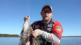 Crappie Fishing Lake Tawakoni,Tx  Crappie Dale Summer 2010