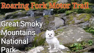 Roaring Fork Motor Trail Great Smoky Mountains National Park