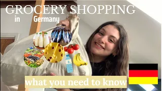 GROCERY SHOPPING IN GERMANY| Costs of groceries in Cologne, Germany + short vlog