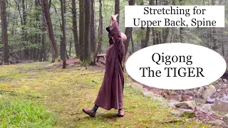 STRETCHING For UPPER BACK, SPINE | 5-Minute Qigong : The TIGER