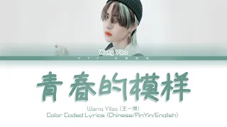 王一博（Wang Yibo）- 青春的模样（So Young And So Flowering） [Chinese/Pinyin/English Lyrics/English Sub]