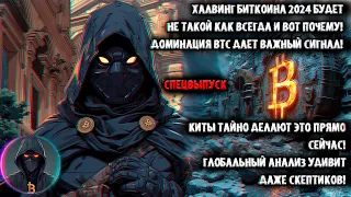 Халвинг Биткоин 2024 будет не как всегда! Доминация BTC дает важный сигнал! Киты тайно делают ЭТО!