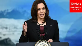 Vice President Kamala Harris Speaks To Tribal Nations Summit At The White House