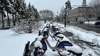 Весна в Монреале