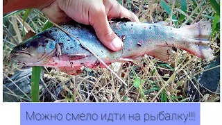 Кара-Куль рыбалка 2018 "Кашары"