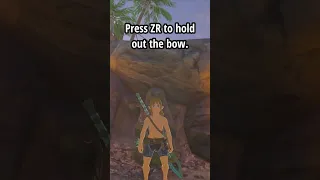 Weapon Duplication | BotW Glitches and Tricks