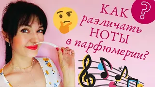 Как научиться различать НОТЫ в парфюмерии? Теория и практика!