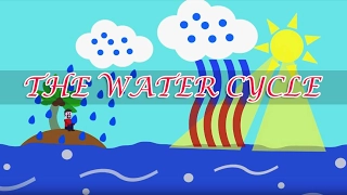 Water Cycle for Kids |  BuBuTV