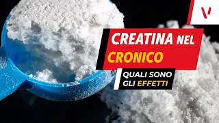 Effetti creatina nel cronico: come e quando assumerla nel cronico?