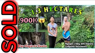 #Vlog06 | 1.3 HECTARES | 900K | May Magandang Kweba | GOOD FOR INVESTMENT | 100% Flatland | 900K