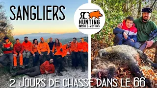 CHASSE AUX SANGLIERS dans le 66 - 2 magnifiques battues en terres Catalanes